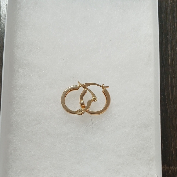 Elegant Gold Hoop Earrings - Picture 6 of 6